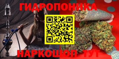 спиды Гусев