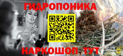 спиды Гусев