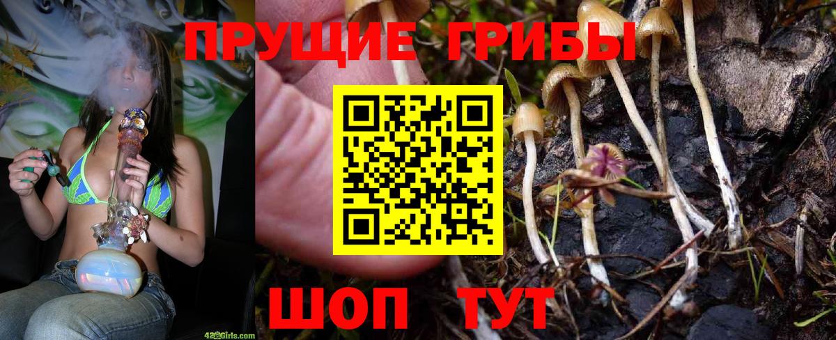 Псилоцибиновые грибы прущие грибы  Вход с VPN  Галлюциногенные грибы Magic Shrooms  Димитровград 